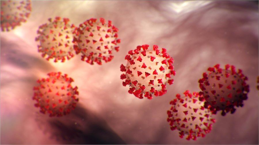 TUESDAY: 6 COVID-19 Cases Reported Across Kenai Peninsula, 156 Statewide - Vimarsana News
