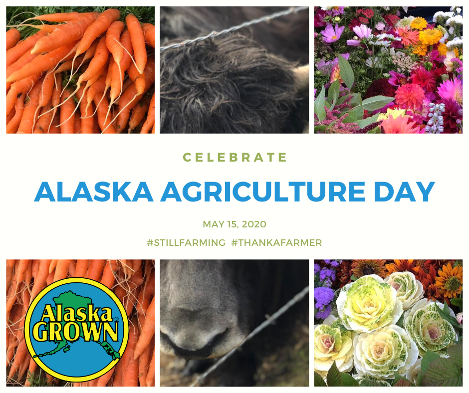 may-15-is-alaska-agriculture-day-radio-kenai